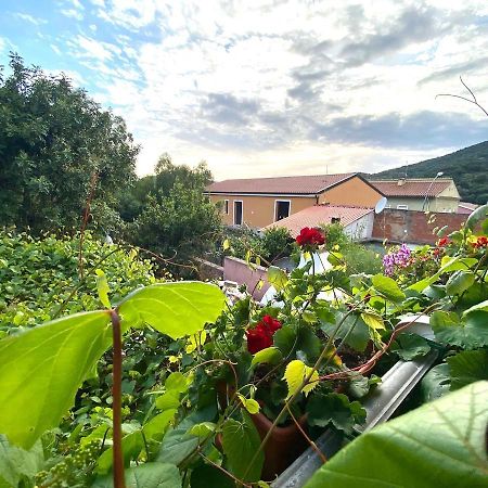 B&B Su Tostainu Teulada Esterno foto